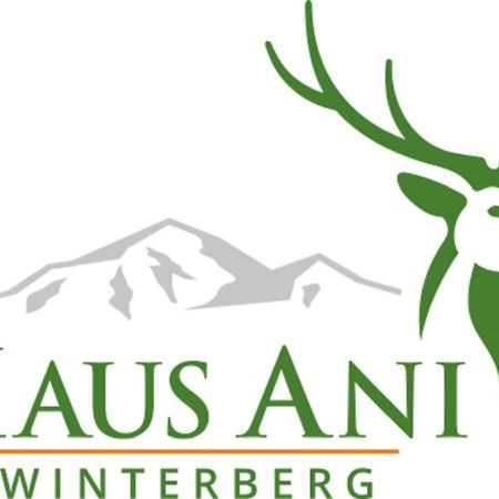 Haus Ani Winterberg Villa Kültér fotó