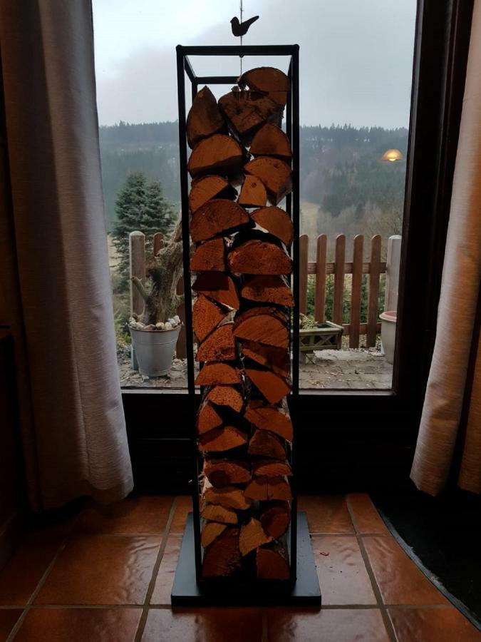 Haus Ani Winterberg Villa Kültér fotó
