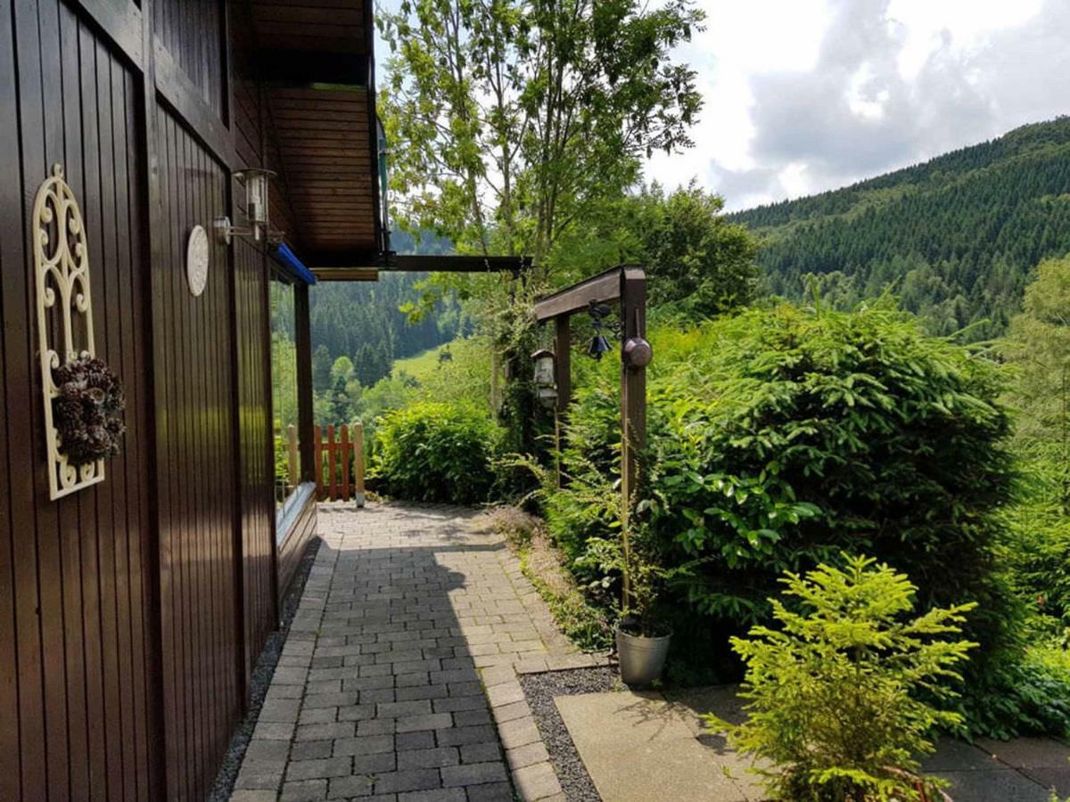 Haus Ani Winterberg Villa Kültér fotó