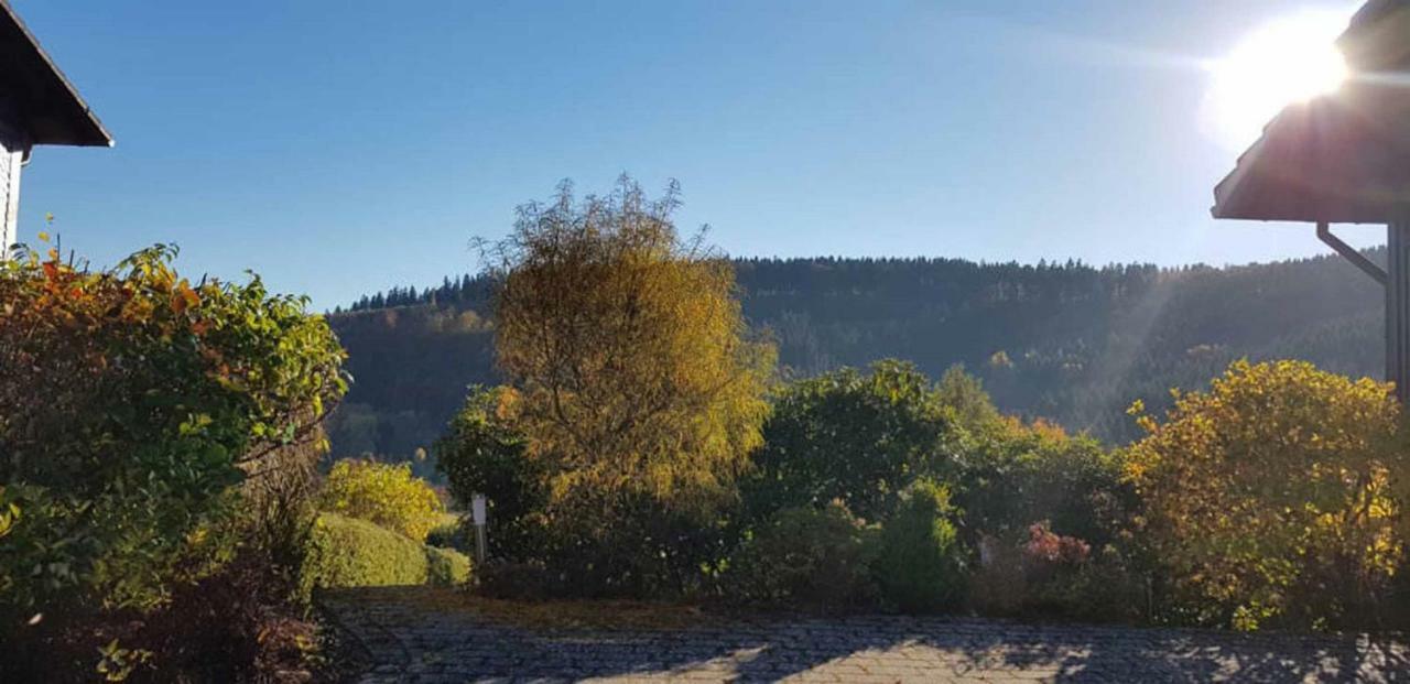 Haus Ani Winterberg Villa Kültér fotó